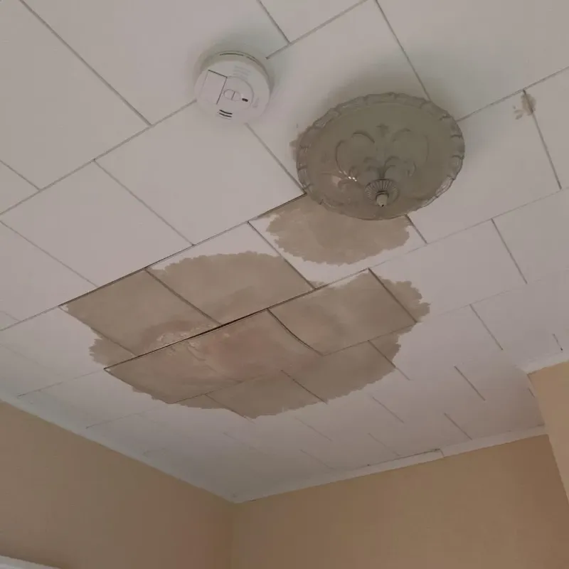 Ceiling Water Damage Repair in Bennington, NE