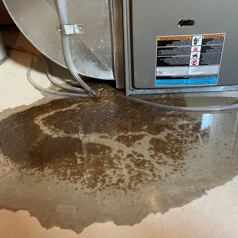 Pipe Burst and Leak Restoration in Bennington, NE