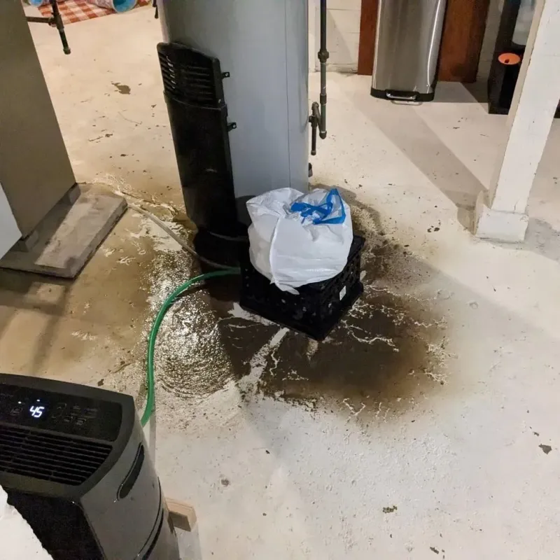 Sewage Backup Cleanup Service in Bennington, NE